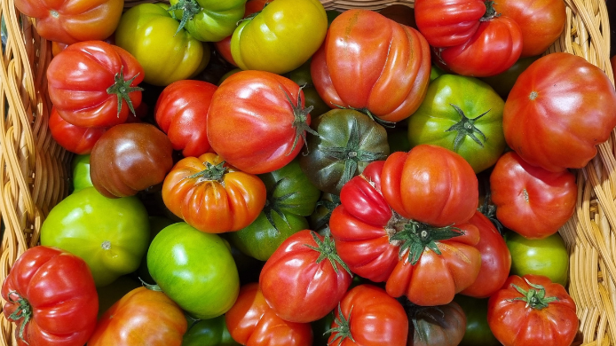 Tomate corazón de buey