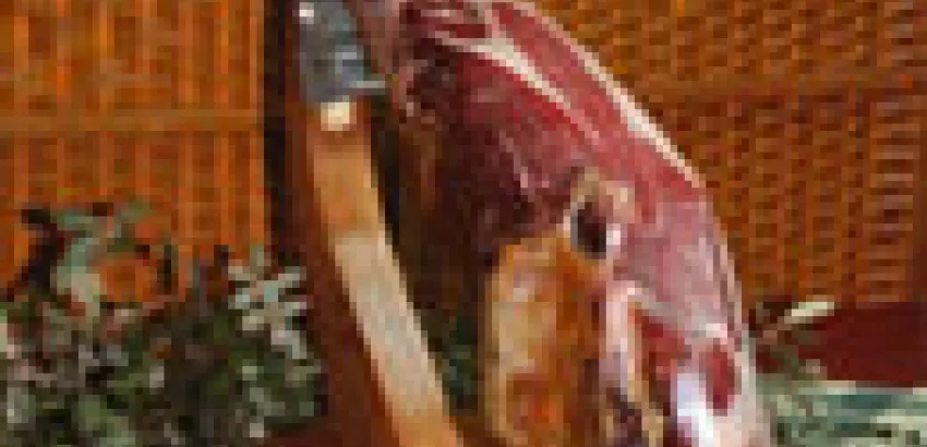 Jamón Ibérico, el aceite de Oliva de cuatro patas Jamón Ibérico, el aceite de Oliva de cuatro patas