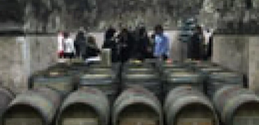 Bulgaria: Producción y exportación de vinos registra una drástica depresión Bulgaria: Producción y exportación de vinos registra una drástica depresión