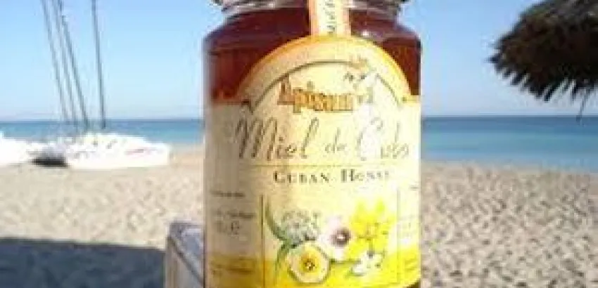 Miel de Cuba incursiona en nuevos mercados Miel de Cuba incursiona en nuevos mercados
