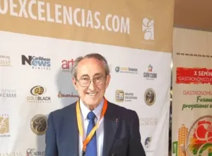 Julio Valles Rojo
