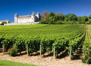 La ruta del Borgoña, mucho más que vinos divinos