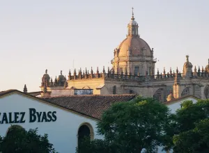 González Byass
