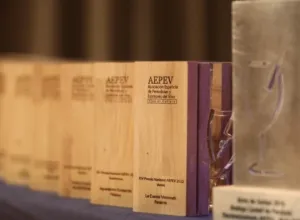 XVI Premios AEPEV