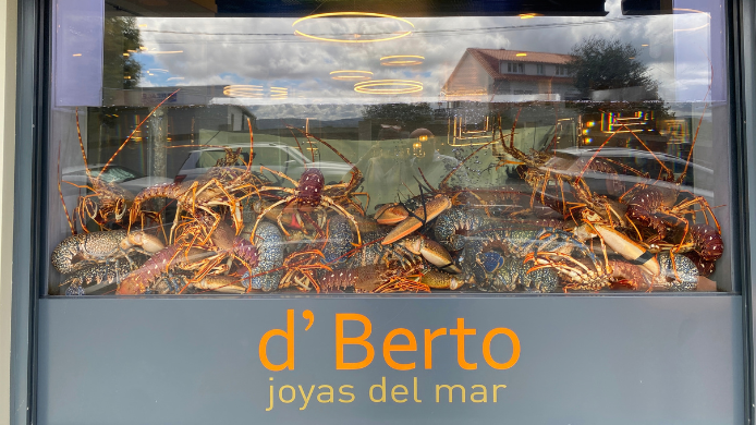 Vitrina de D'Berto en O Grove con bogavantes y mariscos vivos expuestos como muestra del producto de la casa