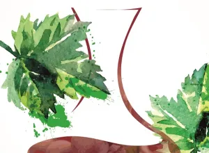 Guía de Vinos y?Aceites 2017 