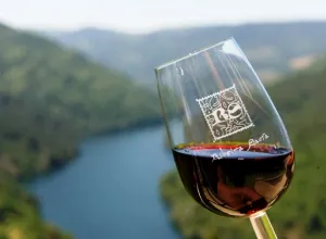 Los vinos de DO Ribeira Sacra presentan sus planes de proyección internacional en Alimentaria 2012