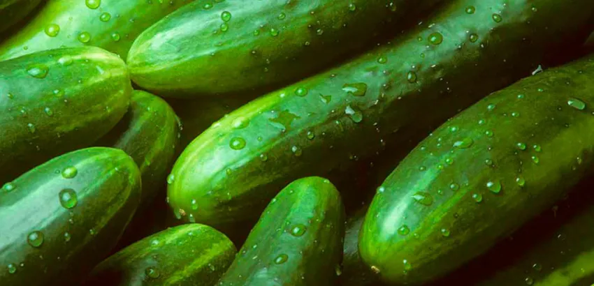 Pepinos Pepinos