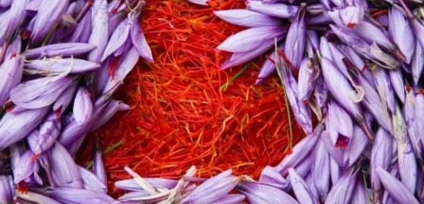 El azafrán no solo es luz, sino olor y sabor en la cocina El azafrán no solo es luz, sino olor y sabor en la cocina
