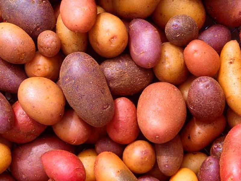 Un país, un producto, una receta