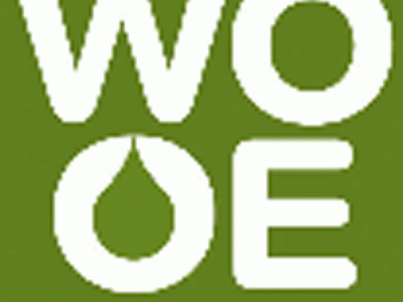 Encuentro Internacional del Aceite de Oliva reúne en Madrid a prestigiosos expertos del sector de todo el mundo