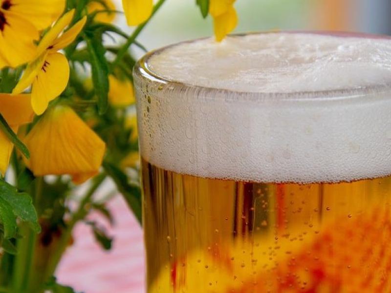 cerveza