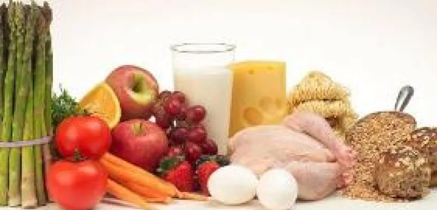 Intoxicaciones alimentarias de verano