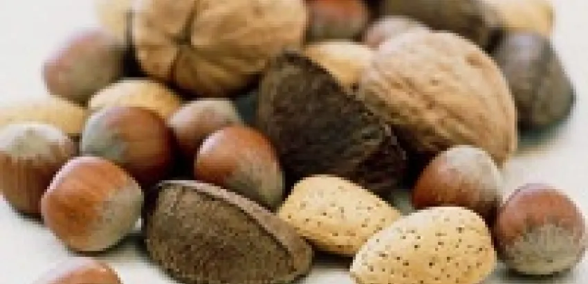 Identifican a la nuez como el alimento más nutritivo y saludable Identifican a la nuez como el alimento más nutritivo y saludable