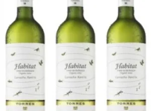 Vinos ecológicos: en armonía con el ambiente