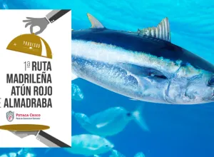 atún rojo
