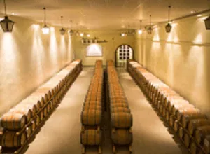 Matarromera cierra 2015 con una facturación record de 20,3 millones de euros