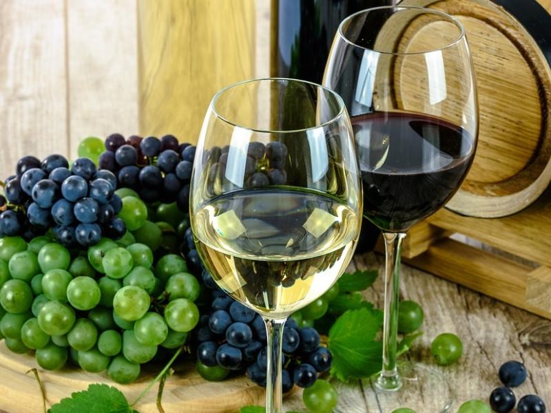 uvas y vino