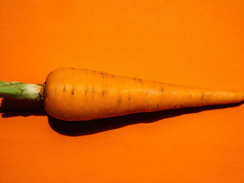 zanahoria
