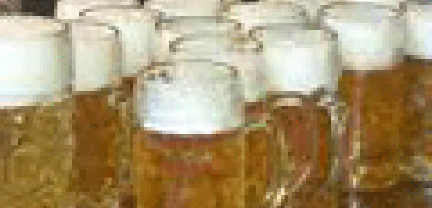 España es el cuarto productor de cerveza de la Unión Europea y el décimo del mundo España es el cuarto productor de cerveza de la Unión Europea y el décimo del mundo