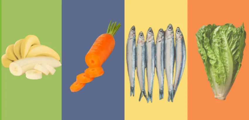 verano alimentos verano