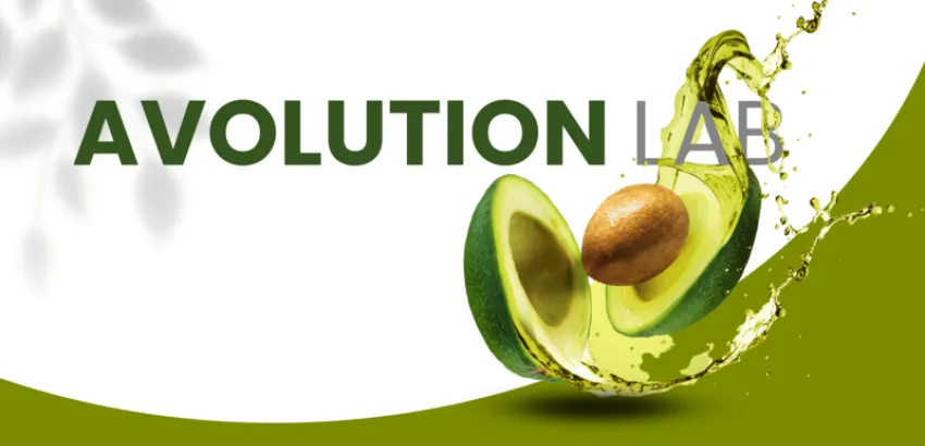 avolution avolution