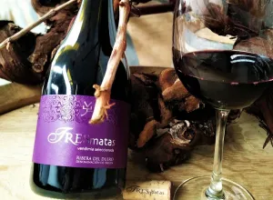 TresMatas Vendimia Seleccionada 2019 