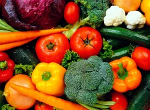 exportaciones agroalimentarias