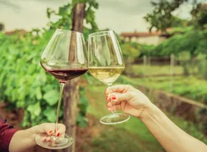 enoturismo vino blanco y tinto
