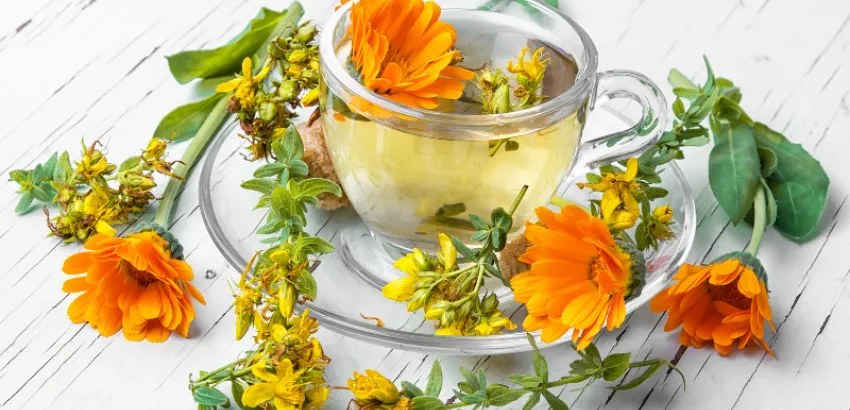 Infusión de caléndula como remedio para diversos malestares físicos y mentales té de caléndula