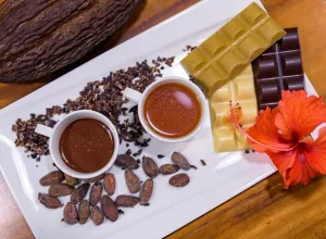 Cacao