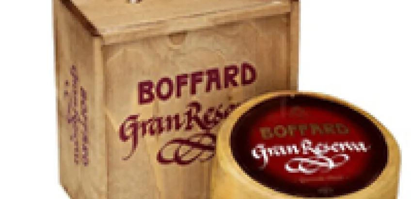 Presentan curiosa colección de platos fríos a base de queso Boffard Presentan curiosa colección de platos fríos a base de queso Boffard