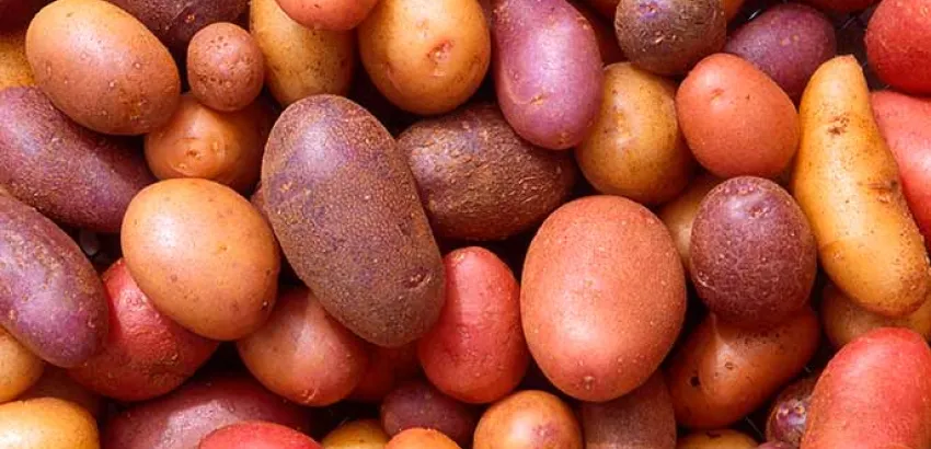 Un país, un producto, una receta