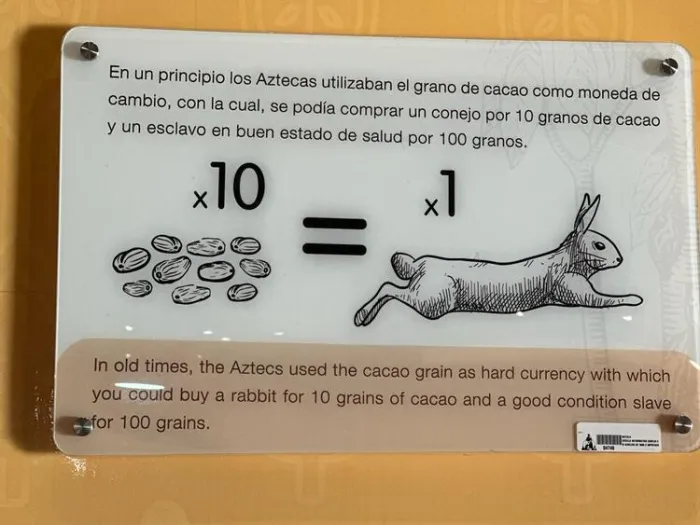 Cacao usado como moneda de cambio