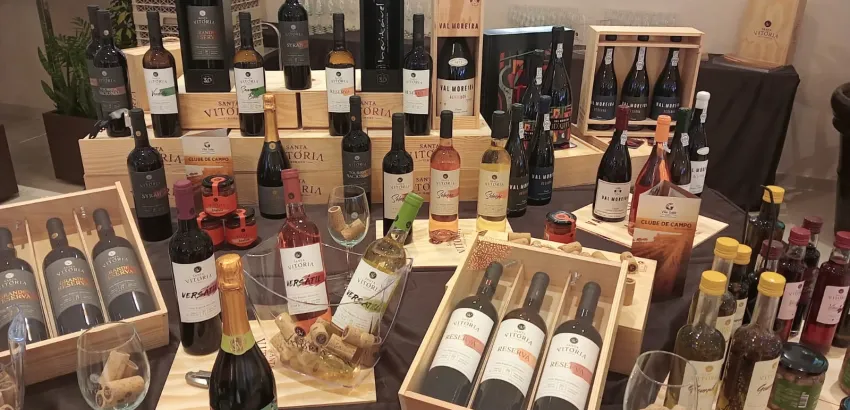 Vinos portugueses Vinos portugueses