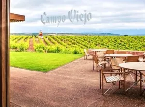 Bodegas Campo Viejo 