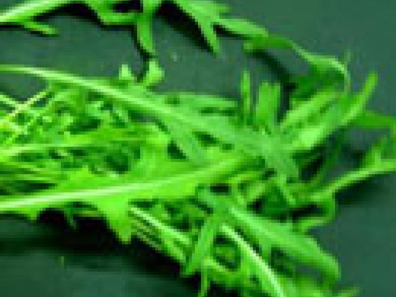 La Rúcula, una mala hierba convertida en vegetal de lujo