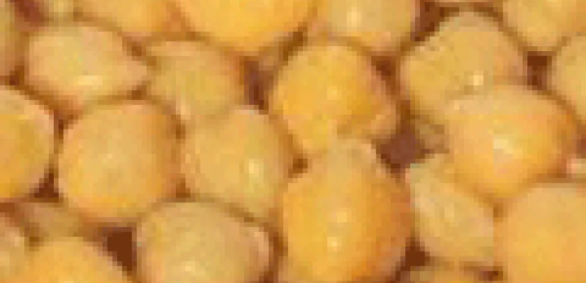 Tamalitos de garbanzos Tamalitos de garbanzos