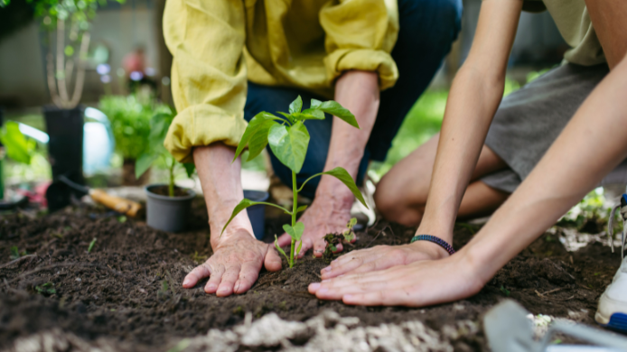La gastronomía de Puerto Rico se impulsa desde la infancia