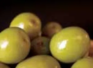Aceitunas aliñadas