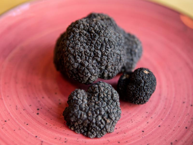Trufa-Negra