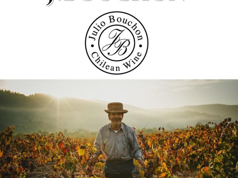 J. Bouchon, vinos con alma chilena
