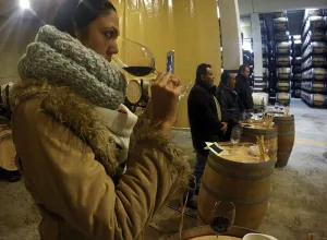 Bodegas Torres: redescubriendo el sabor de España (II Parte)
