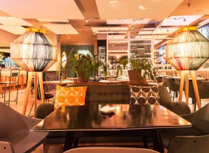  NEST. alta cocina orgánica del campo a la ciudad
