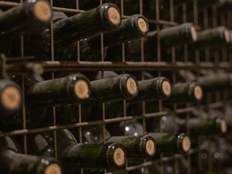 Museos del Vino 