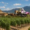 bodegas con encanto