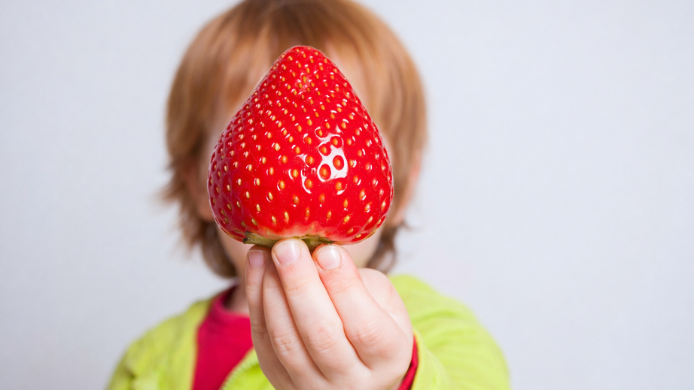 fresas cogidas por un niño