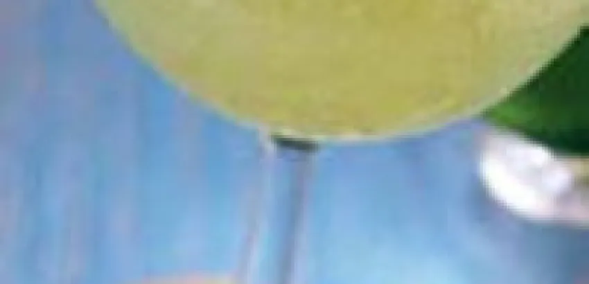 Coctel Margarita Coctel Margarita