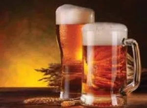 Las cervezas en la Gastronomía