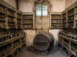 Vinos